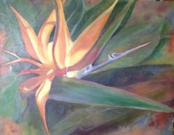 flower flight bird paradise